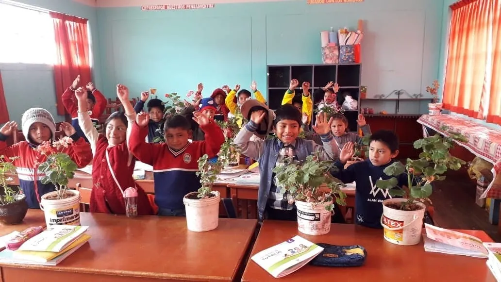 Niñas y niños levantan la mano en un aula, con plantones sobre sus carpetas.