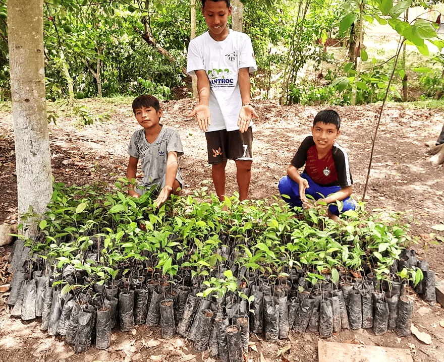Tres niños posan detrás de hileras de plantones durante una actividad de reforestación.